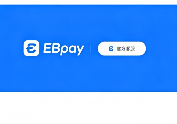 ebpay官网页面阅读示意图